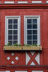 Fototapeta na wymiar Backnanger Rathausfenster mit Tulpen