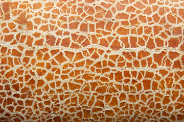 cracked orange cucumber texture, nature