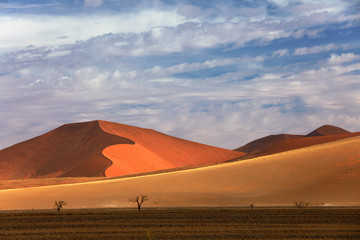 Fototapeta na wymiar Namibia landscape. Big orange dune with blue sky and clouds, Sossusvlei, Namib desert, Namibia, Southern Africa. Red sand, biggest dune in the world. Travelling in Africa.