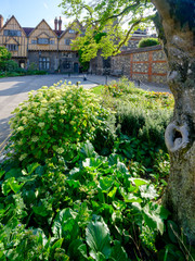 Autumn afternoon light on the West Front of Winchester Cathedral, UK