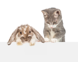 Rabbit and kitten over empty white banner looking down together. isolated on white background