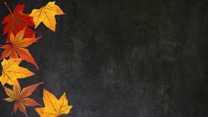 Herbst - Herbstlicher schwarzer Beton Hintergrund mit bunten Laubblättern