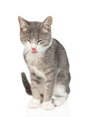 Obraz premium Happy kitten licking his lips. isolated on white background