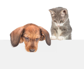 Cat and dog over white banner looking down on empty space. isolated on white background