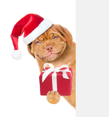 Smiling puppy in red christmas hat holding gift box and peeking above white banner. isolated on white background