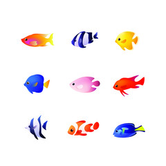 Group of fishes - sea fish isolated on white. Vector illustration in colorful style.