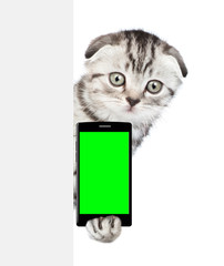 Tabby kitten holding smartphone in their paws behind empty white banner. Isolated on white background