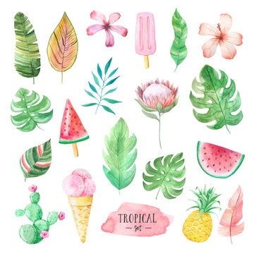 Watercolor tropical flowers, leaves and icecream