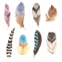 Watercolor colorful feathers set