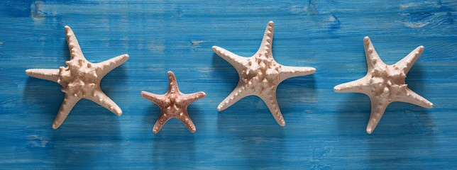 Fototapeta na wymiar Background of sea shells and starfish