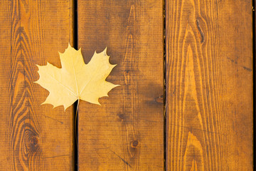 Yellow maple leaf on a floor of brown pine planks. Autumn background with copy space..