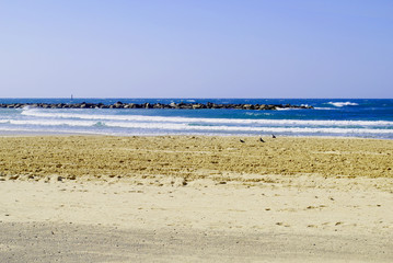 Fototapeta na wymiar Mediterranean coast, Tel Aviv beach (Israel)