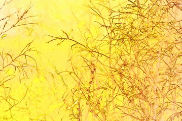  wild field plants on a yellow background