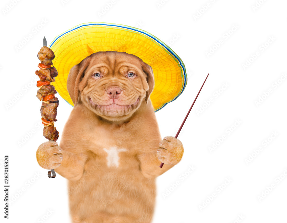Poster Smiling puppy in summer hat with grilled meat on skewer pointing away on empty space. isolated on white background