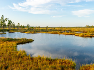 beautiful landscape with small bog lakes, wonderful reflections, white clouds, Nigula bog, Estonia