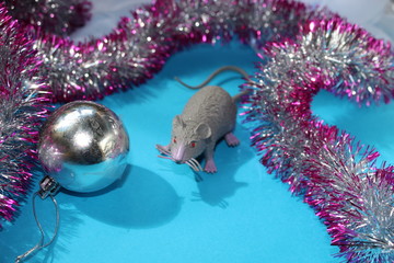 rat silver color, Mascot of The new year 2020.