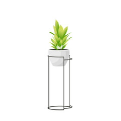 Home plant for style design window 
