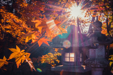 Autumn Red Leaf Scenery of Kyoto Temple, Japan