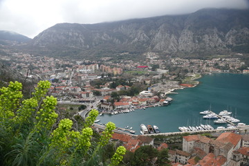Fototapeta na wymiar Blick auf Kotor