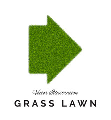 Fake Green Grass or Astroturf Arrow Background Isolated