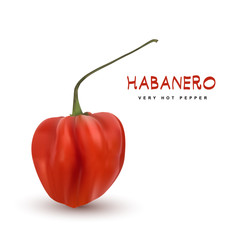 Red Chili Pepper Habanero Vector 3d Illustration - obrazy, fototapety, plakaty