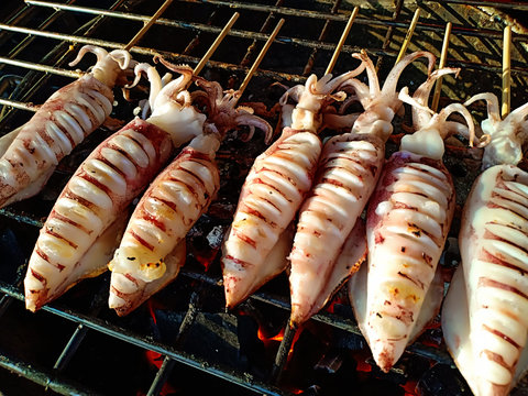 Splendid squid is grilling on a charcoal stove.  Street food cooking concept.