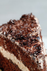Chocolate cake with cream filling closeup. Shallow depth of field