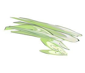 Lemon grass Header and Sliced Vector Illustration of Asian Medicinal Plants and Thai Food Ingredients And alternative medicine