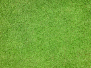 Green grass texture pattern background golf course turf lawn from top view in bright yellow green color