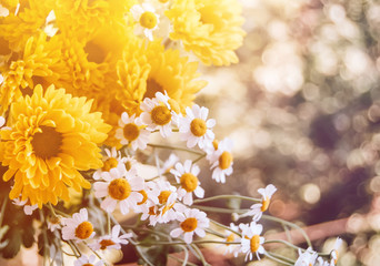 Flower sunny joyful background with big yellow chrysanthemum and smaller white chamomiles.