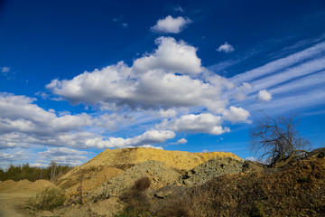 Early in the morning, the rising sun shines in the trees by the river.