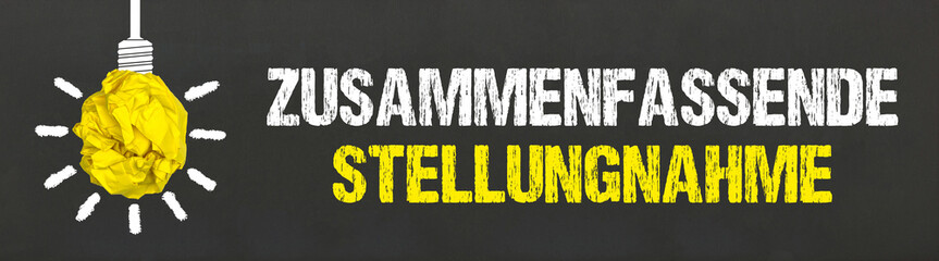 Zusammenfassende Stellungnahme
