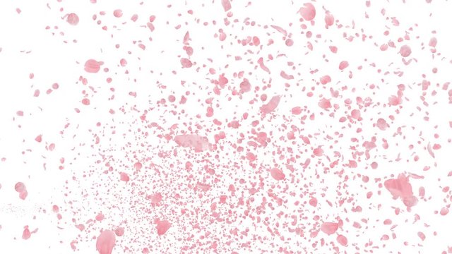 Cherry Blossom Sakura Petals and Lens Flares Particles background