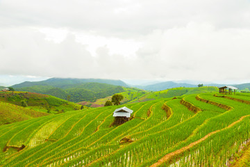 Rice terrace at Pa-pong-peang , Mae Chaem, Chaing Mai ,North Thailand..