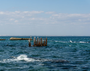 Naklejka premium sea wiev with pier, seagulls and cormorant