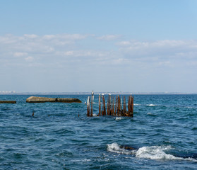 sea wiev with pier, seagulls and cormorant