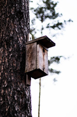 wooden birdhouse on a tree