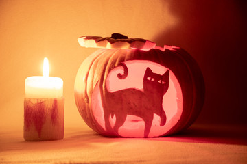 Halloween Cat Pumpkin. 