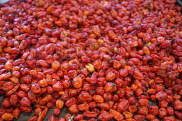 Paprika auf einem markt in madagaskar
