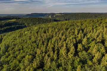 Waldlandscahft von Oben - Luftbild