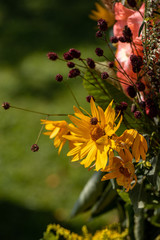 Floristic bouquet of flowers, herbs and fruits that are the symbol of summer