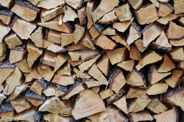 Firewood for the Winter, Italy