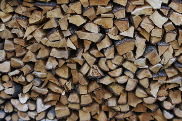 Firewood for the Winter, Italy
