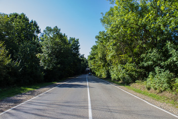 Road in a rural area with trees and blue sky