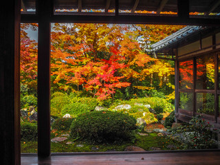 Beautiful scene of colorful autumn maple trees in japanese temple garden for background