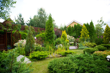Fototapeta na wymiar private garden with a wide variety of vegetation planted close together