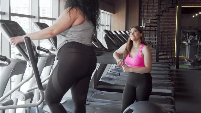 Beautiful plus size woman talking to her friend working out on elliptical trainer. Two overweight women exercising at sports studio. Cardio workout, health, fitness concept