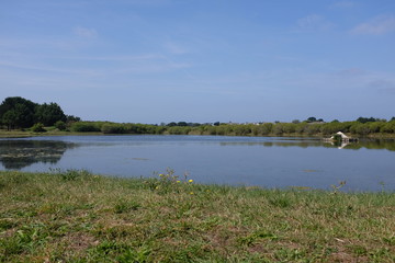 Marais Salants