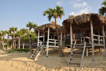 奄美大島の美しい海