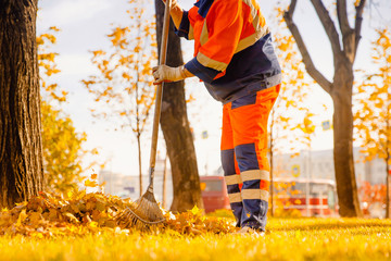Leaf blower Male worker removes leaves lawn of garden autumn